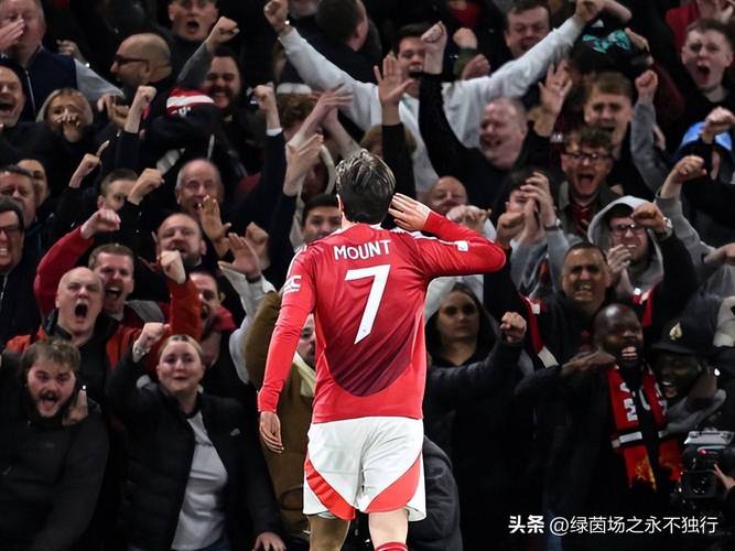 卫报：曼联76岁球迷被迫为VIP让位，共1100名球迷需搬离原位