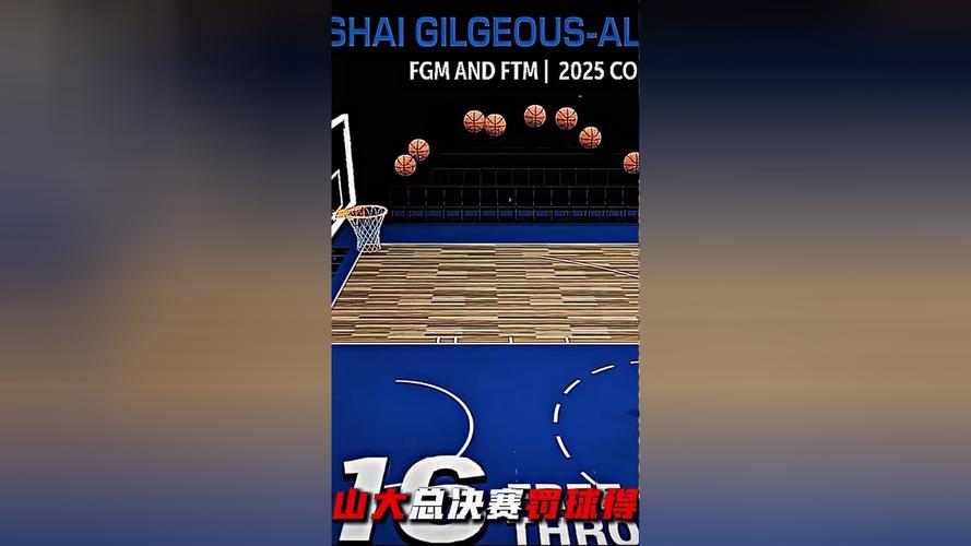 SGA：布朗两场打我们28罚伟大球员都会获得罚球这是比赛一部分