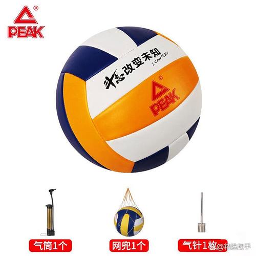 排球品牌排行榜前十名？排球知名品牌？