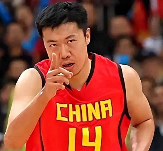 王治郅哪一年回国，王治郅去哪了？