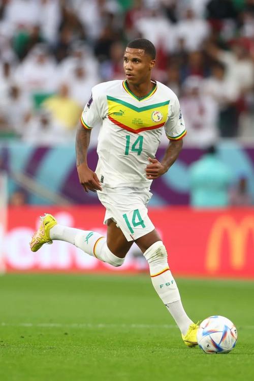 塞内加尔又进世界杯了吗？塞内加尔又进世界杯了吗最新消息？